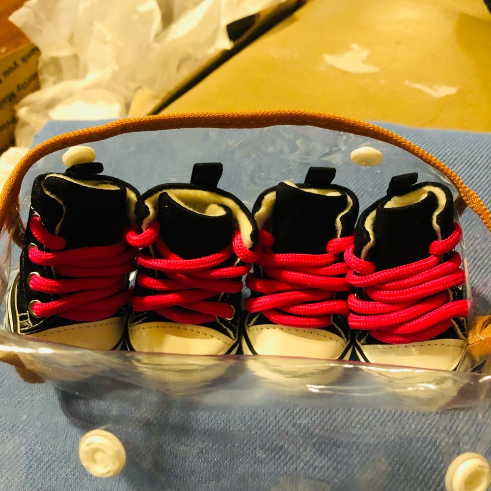 Pets sneakers - Picture 4 of 5